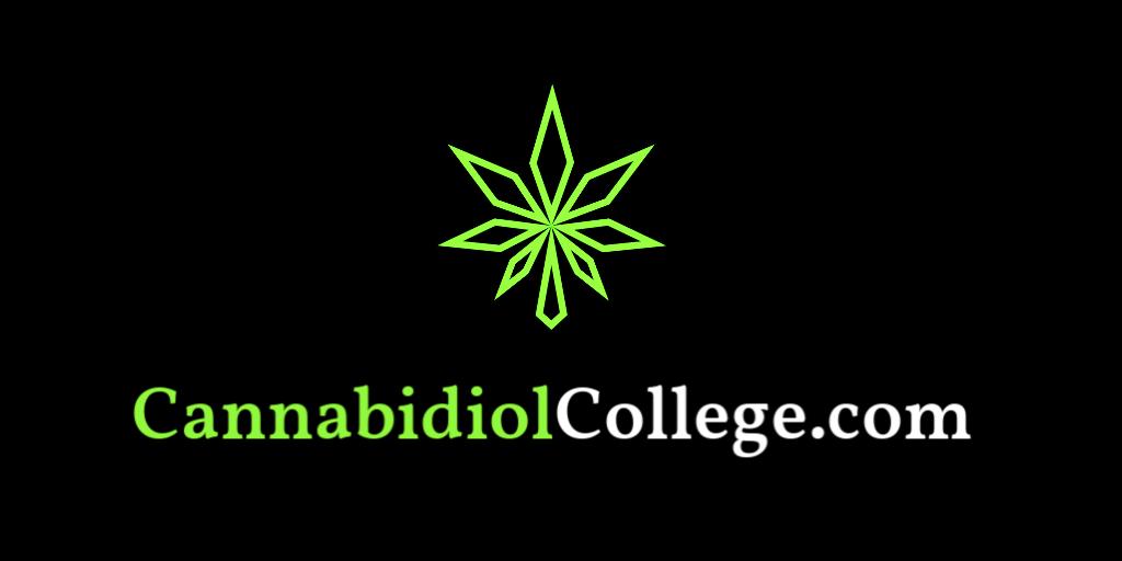 KetoWanna's tweet photo. Doorway To CBD Knowledge. 🌿

✅ Domain for sale!

🔥 #CBD #Cannabidiol #CBDOil #Canna #Cannabis #Hemp #Leaf #Health #Wellness #Brand #Branding #Marketing #MarTech #Advertising #AdTech #Entrepreneur #Startup #Startups #GrowthHack #GrowthHacking #College #University #BrandWanna https://t.co/qpcuivAqTe