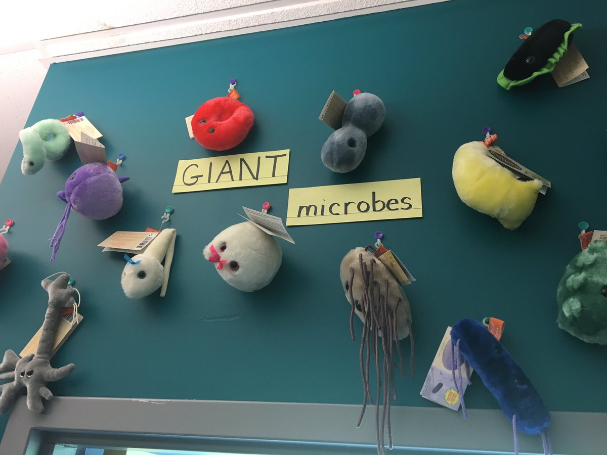 MrCarracappa's tweet photo. On the verge of the first school day of the year.  Always excited to see I share the same excitement as those I work with daily.  UMHS has the best educators in the area.  Here is just one example how Mrs. Lipenta has prepared.  Welcome back everyone!  Here we go... https://t.co/p9PJqWCT7T