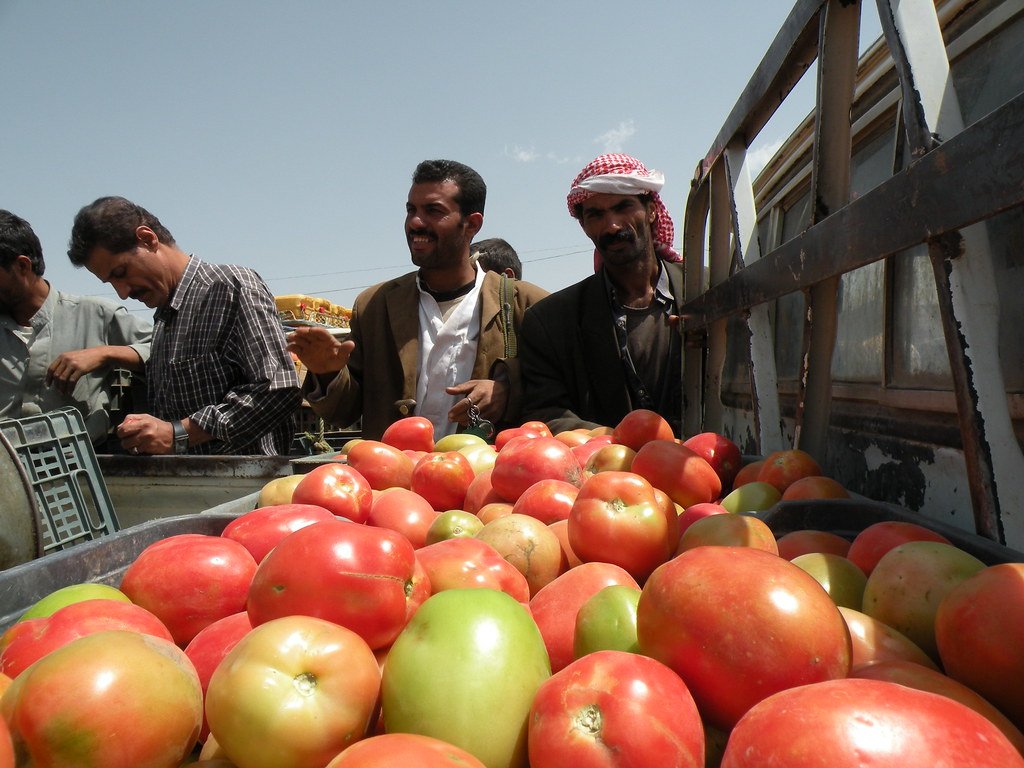 UNDPEurasia's tweet image. We&apos;ll soon be launching a new program with @isdb_group&apos;s ISFD to empower NGOs so they can help reduce poverty in 57 Islamic countries. Find out more about their work here: bit.ly/2kqubEJ.