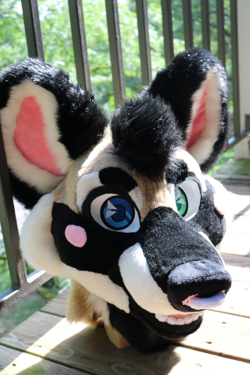 gnaws's tweet photo. AWD pubby is up for grabs on @TheDealersDen!

https://t.co/AdxJx9zYtY

Magnetic tongue, nose ring, blush, hair-poof, and removable eyelids!

Listing ends on Saturday, 9/7. Please feel free to DM me with any questions. :) Must be 18 or older to bid. 

RTs + likes = <333 https://t.co/PkboVqlBSC