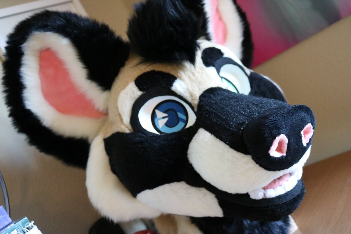 gnaws's tweet photo. AWD pubby is up for grabs on @TheDealersDen!

https://t.co/AdxJx9zYtY

Magnetic tongue, nose ring, blush, hair-poof, and removable eyelids!

Listing ends on Saturday, 9/7. Please feel free to DM me with any questions. :) Must be 18 or older to bid. 

RTs + likes = <333 https://t.co/PkboVqlBSC