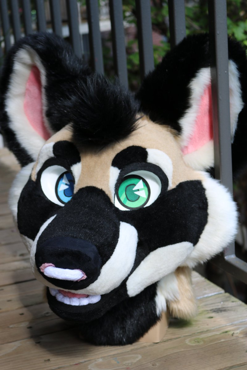 gnaws's tweet photo. AWD pubby is up for grabs on @TheDealersDen!

https://t.co/AdxJx9zYtY

Magnetic tongue, nose ring, blush, hair-poof, and removable eyelids!

Listing ends on Saturday, 9/7. Please feel free to DM me with any questions. :) Must be 18 or older to bid. 

RTs + likes = <333 https://t.co/PkboVqlBSC