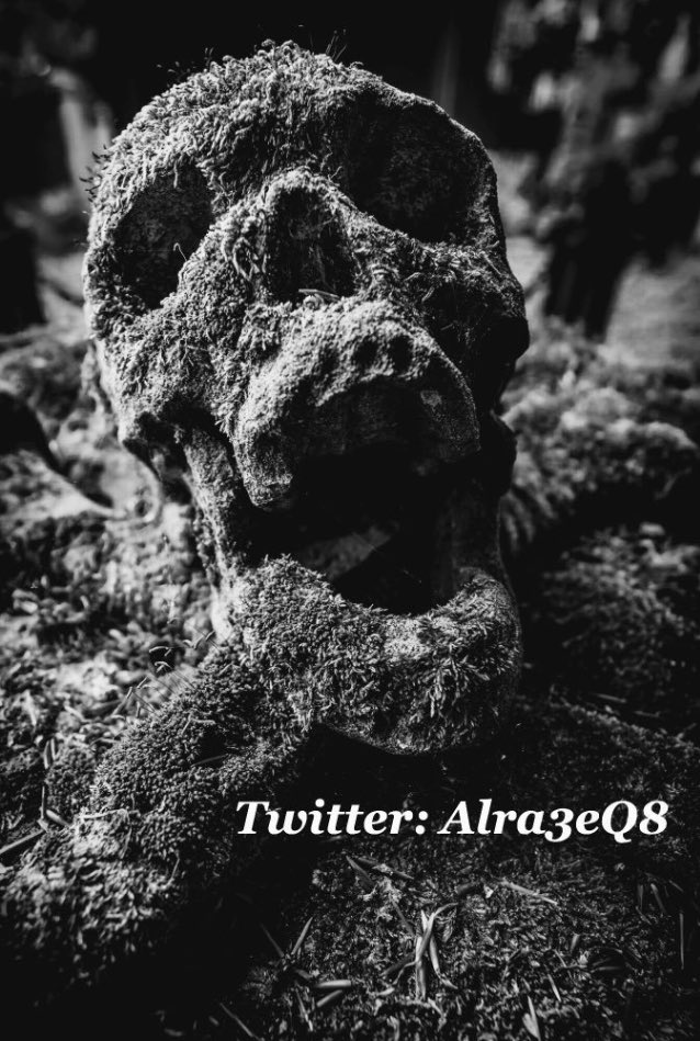 .. فقدت الكثير ولازلت افقد ولكنني احاول ان اسعد الجميـع بقدر ماأملك ..

#خواطر_الراعـي