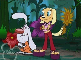 Brandy and Mr Whiskers. 