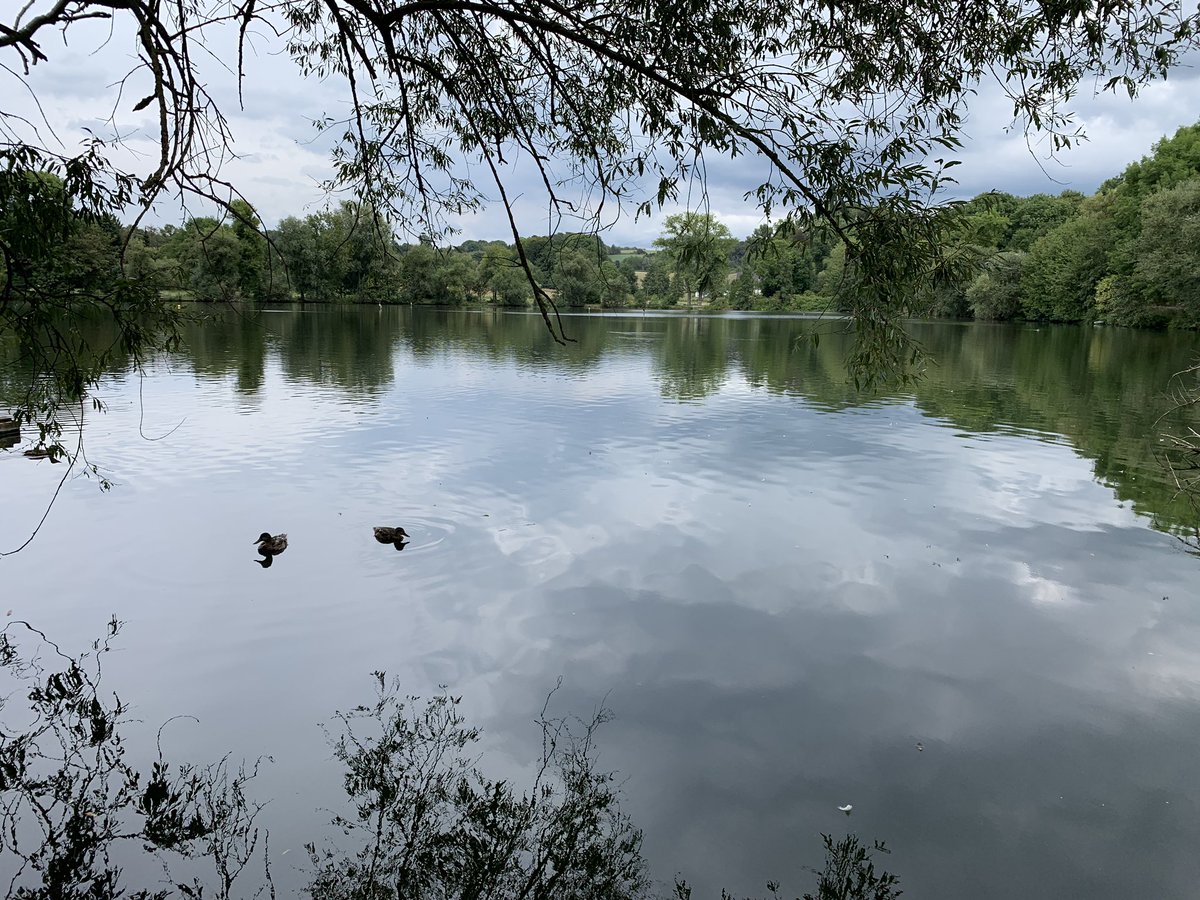 Wir 👫 unterwegs: #Neanderlandsteig <a href="/Das_neanderland/">Das neanderland</a> = wunderbare Wege und nette Abstecher zB ins Heimatmuseum Heiligenhaus, Bauerncafe Abtsküche, Zwölitzer Eck, Cafe Herberge facebook.com/35562761117180… <a href="/das_bergische/">Das Bergische</a> <a href="/das_Ruhrgebiet/">🌈 MetropoleRuhr 😷 💉💉💉💉📯( inaktiv)</a> @WahlheimatRuhr @wanderwegewelt @wanderwege_nrw