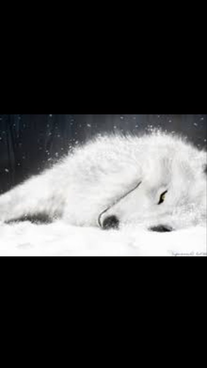 [<a href="/Gintagawa/">ً</a>]

*The white haired crimson red eyed female demon wolf is in her wolf form injured pretty badly from a mission she went on. She couldn't even make it back to the base, from how much blood she lost. She hopes that someone finds her soon.*