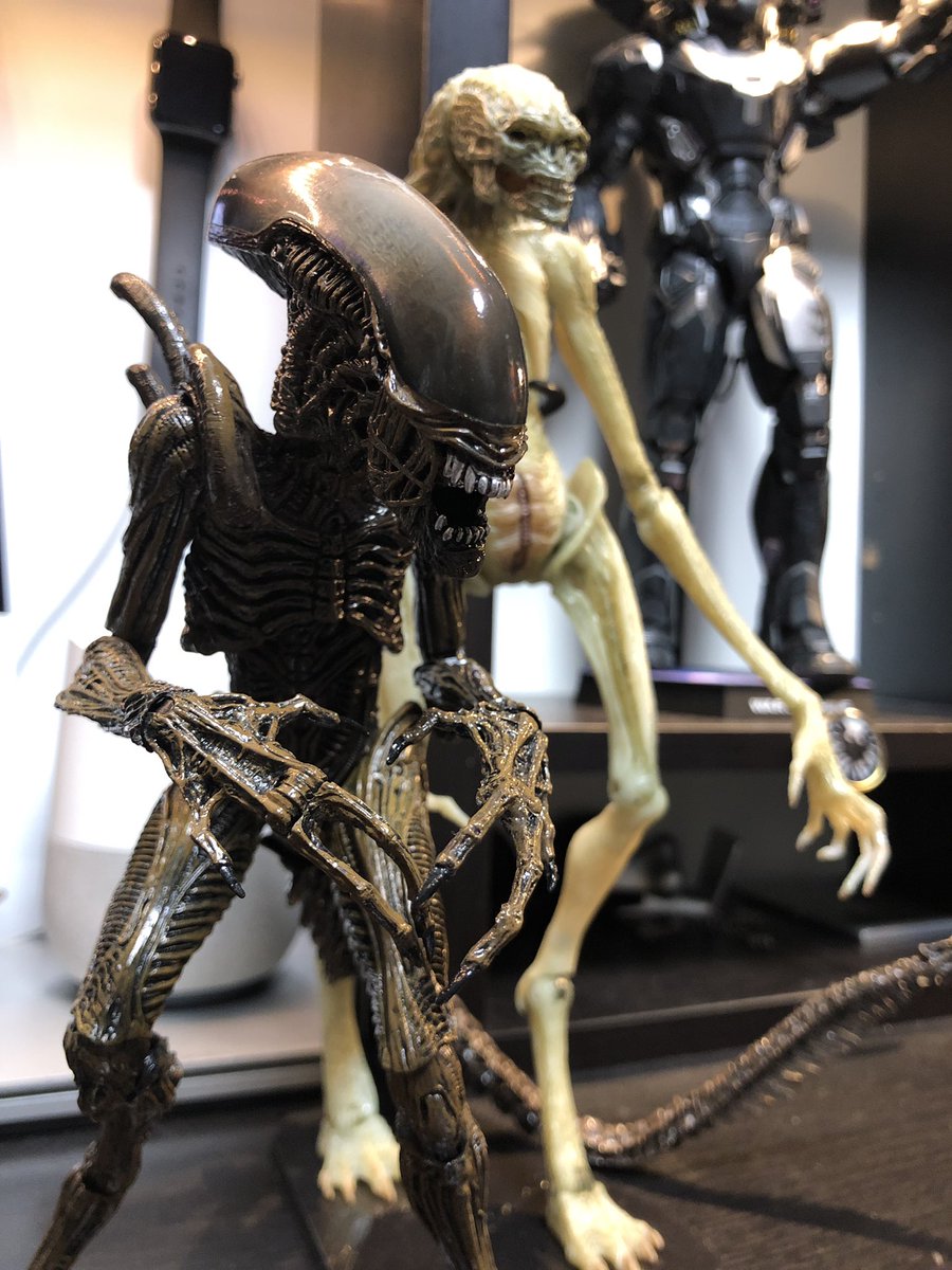 NECA7インチ エイリアン4 ゼノモーフ ウォーリアー到着‼️ 基本的には