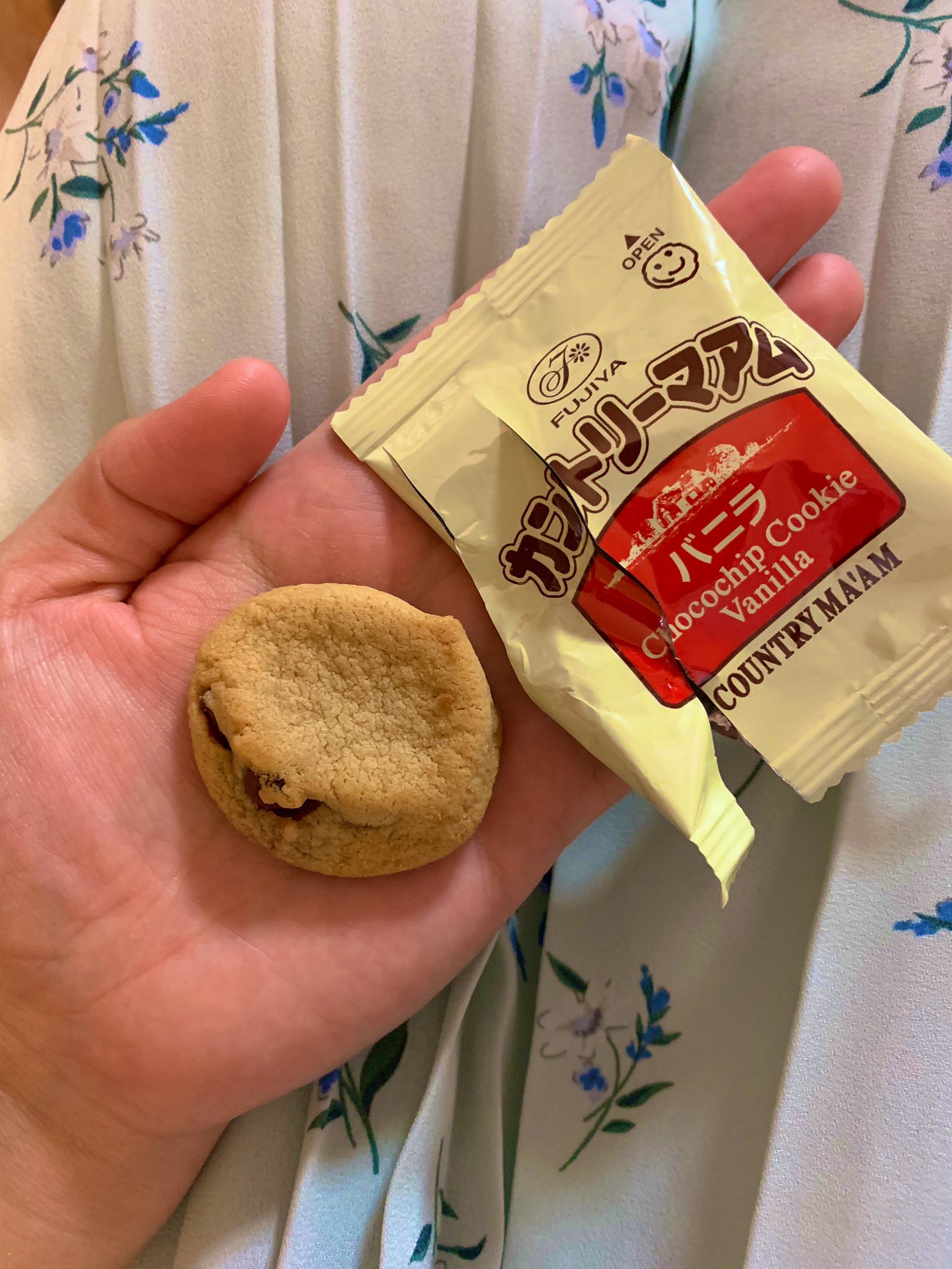 ট ইট র 西出真理 カントリーマアムが小さくなったのか それとも私が大きくなったのかな カントリーマアム 小さくなった気がする 気のせいかな