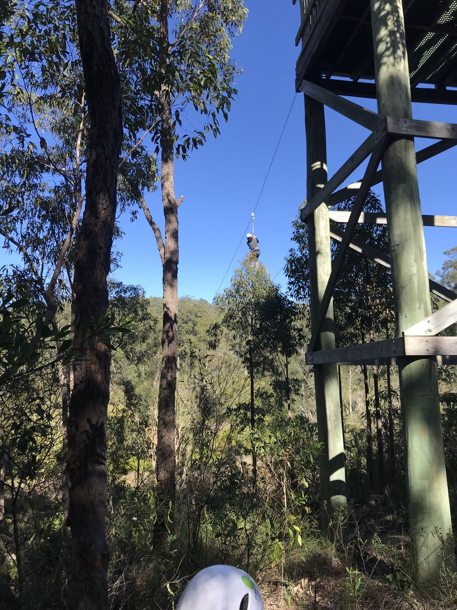 The stage 2 group started the morning with the flying fox <a href="/PsCondell/">CondellParkPS</a> @DanielYoung39