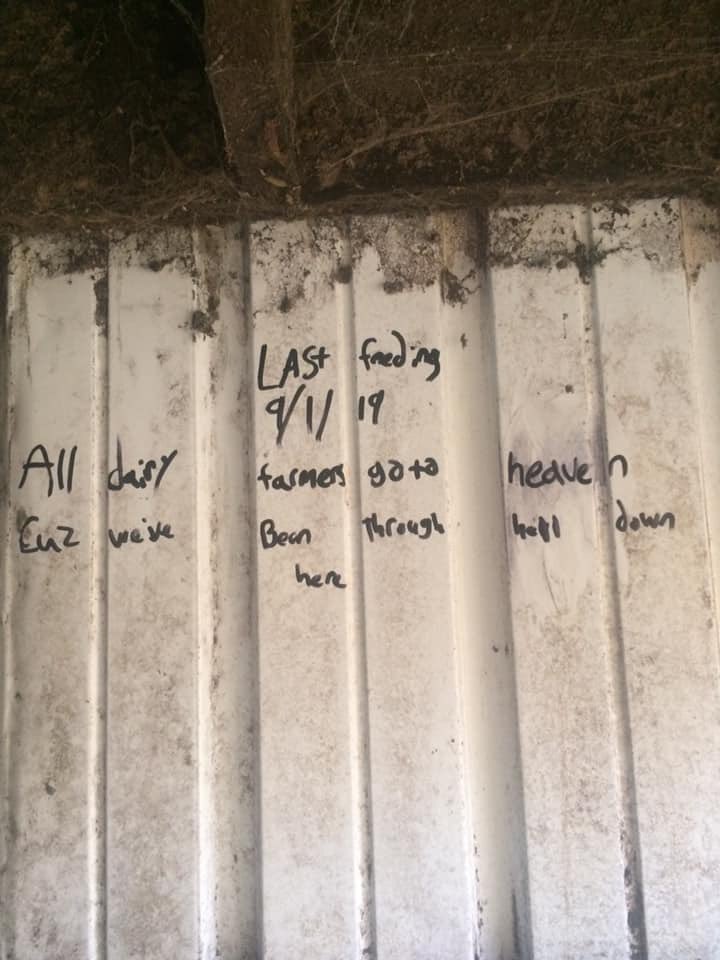 Degenerative Agriculture Advisor (@plsntvlyfarmer) on Twitter photo I’ve worked on a couple dairy farms... never enough to call myself a “dairyman”... 
But I know how much heart and soul go into them... and this post from my friend James Van De Weert hit me right in the feels. 😔 I’ve worked on a couple dairy farms... never enough to call myself a “dairyman”... 
But I know how much heart and soul go into them... and this post from my friend James Van De Weert hit me right in the feels. 😔