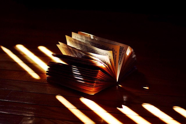 ALICIAH23's tweet photo. I am such an Autumn girl. Give me a quiet, cozy spot with a view of the changing tress on crisp, late September day, a warm drink, and a good book and I will be in all my glory ... 
#DateAGirlThatReads 
#Her https://t.co/LML7f3P6mP