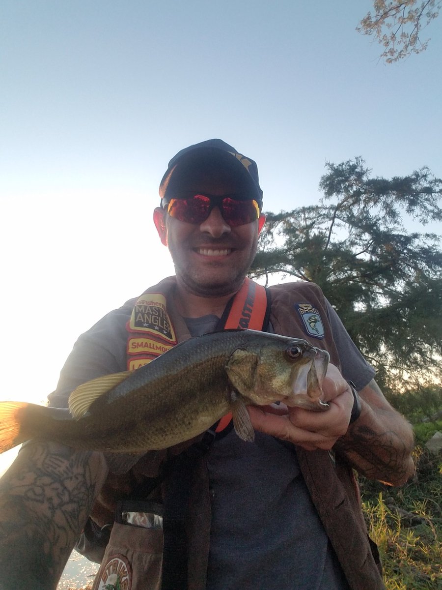 bruisedfriut's tweet photo. I had about 45 minutes today before dinner so I went to #magoolagoon and got a nice little largemouth on the gunfish. Using the @kastkingusa spred demon reel and the favorite froggin stick dunning 20 Lbs #Kastkingusa Kastpro9 braid.
#fishing #fishdayton #fishohio #bassfishing https://t.co/yLpPHsbmr7