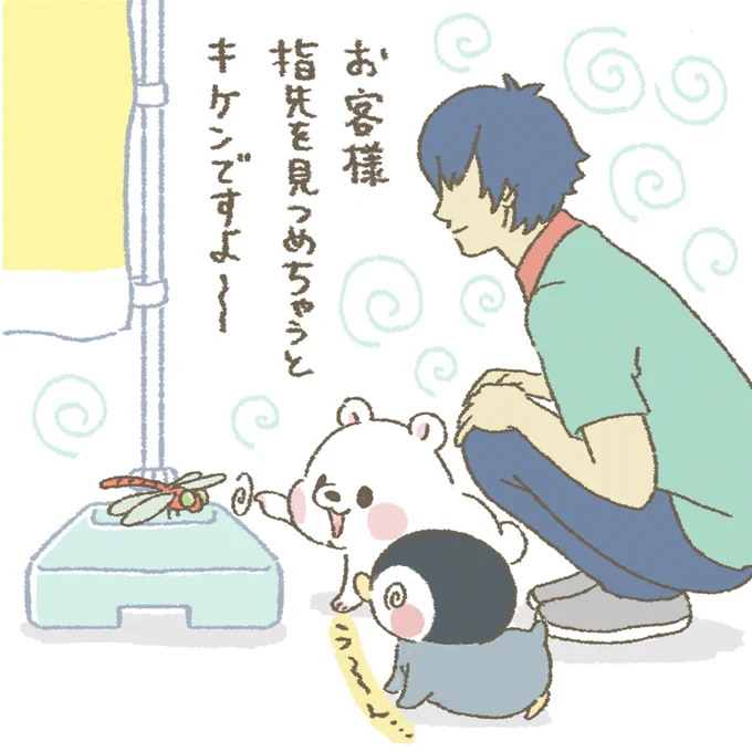 ああああああ〜!!ぐるぐるぐるぐるぅ〜!
困りますぅ〜

#もちもち #お客様困ります #秋分の日 
#トンボ #ぐるぐる 