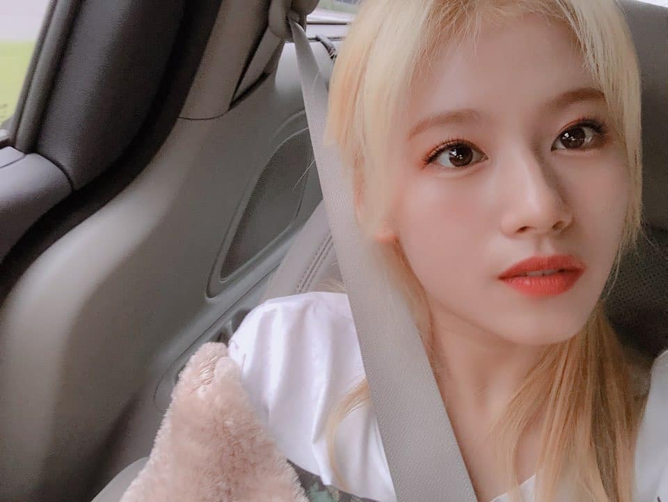 Twiceinstagram Twicetagram 안녕 T Co Ij06gznzj7 2p Twice 트와이스 Fancy Fancyyou Twiceinstagram Twicetagram 안녕 T Co Ij06gznzj7 2p Twice 트와이스 Fancy Fancyyou