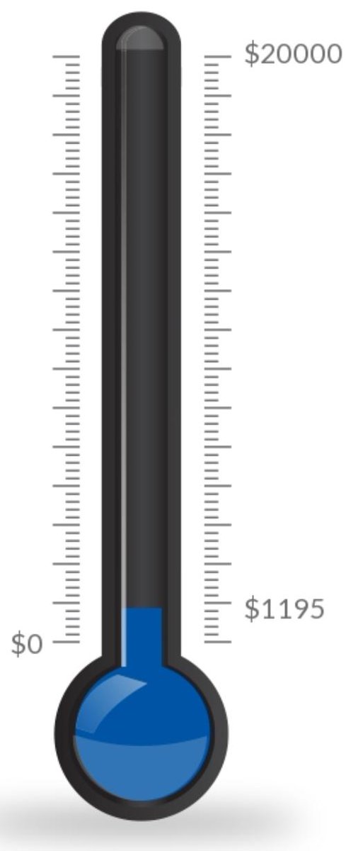 JayStreamPTA's tweet photo. Great start to our fundraiser, thank you to all that have donated. Please continue to spread the word and donate!

https://t.co/7epxpSiSph https://t.co/M9MumVKAut