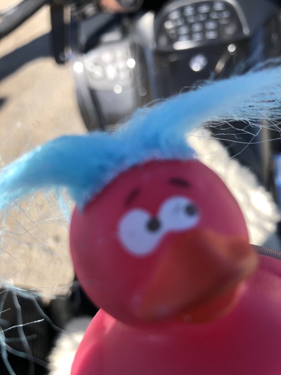 senorquacker's tweet photo. #3fc2019 new hair who dis? https://t.co/EnHbCGNcJa