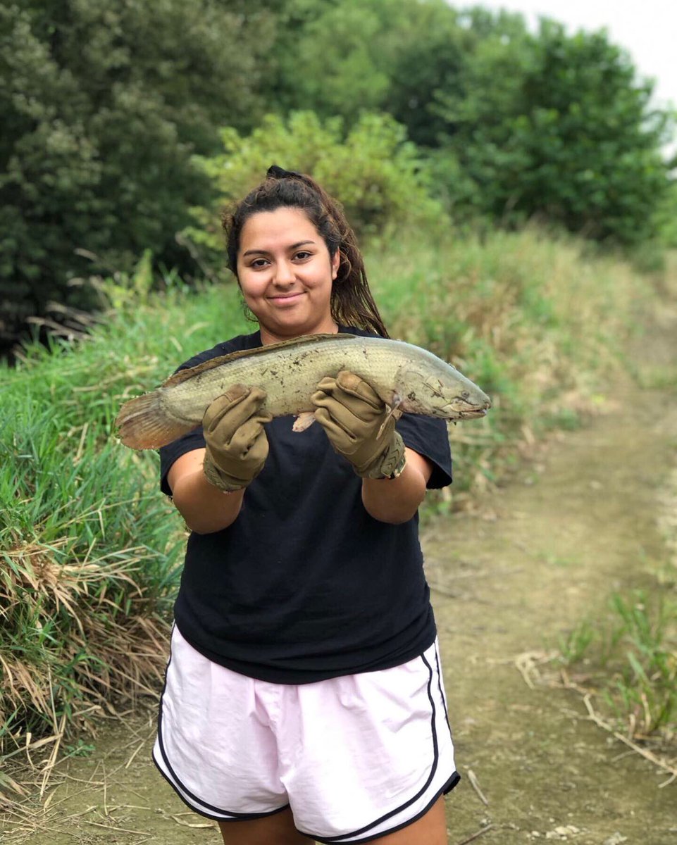 ohio_fins's tweet photo. I catch bowfin like crazyyyy #ohio #ohiofishing #fishing #GirlsWhoFish #fishinggirls #iactuallyfishnotamodel https://t.co/WnvhGBurUV