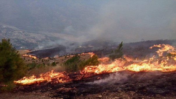 cuscopost's tweet photo. #CUSCO: Detienen a presunto autor de último incendio forestal en #LaConvención
Efectivos de la policía de #Huayanay detuvieron a un poblador, quien sería el autor del incendio en La Convención, que arrasó con más de 6 hectáreas de cultivo
https://t.co/9v2bo1m17M
#PNP #CuscoPost https://t.co/d9tJnmjNyM