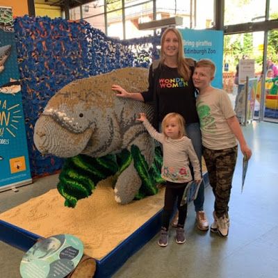 BreastestNews's tweet photo. BRICKLIVE Ocean at Edinburgh Zoo https://t.co/yjy7EuyzlE @EdinburghZoo @BRICKLIVEUK #brickliveuk #bricklive #brickliveocean #oceananimals #marinelife #lego #legosculptures #scottishbloggers #scottishblogger #edinburghlife #edinburghblogger #scottishtravels #travelblogger https://t.co/kAXfbsBZMp