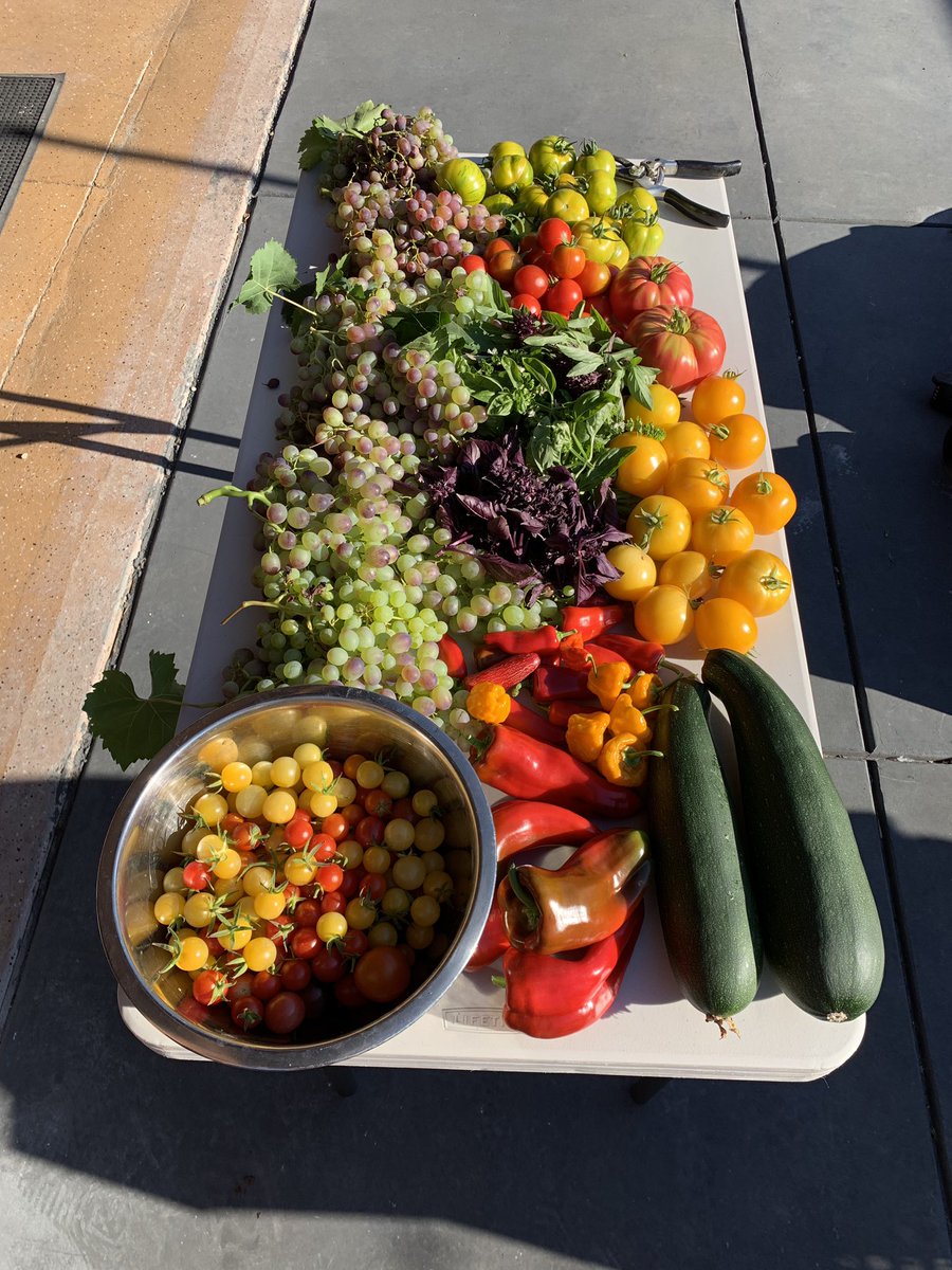 Adam Nash tweet media