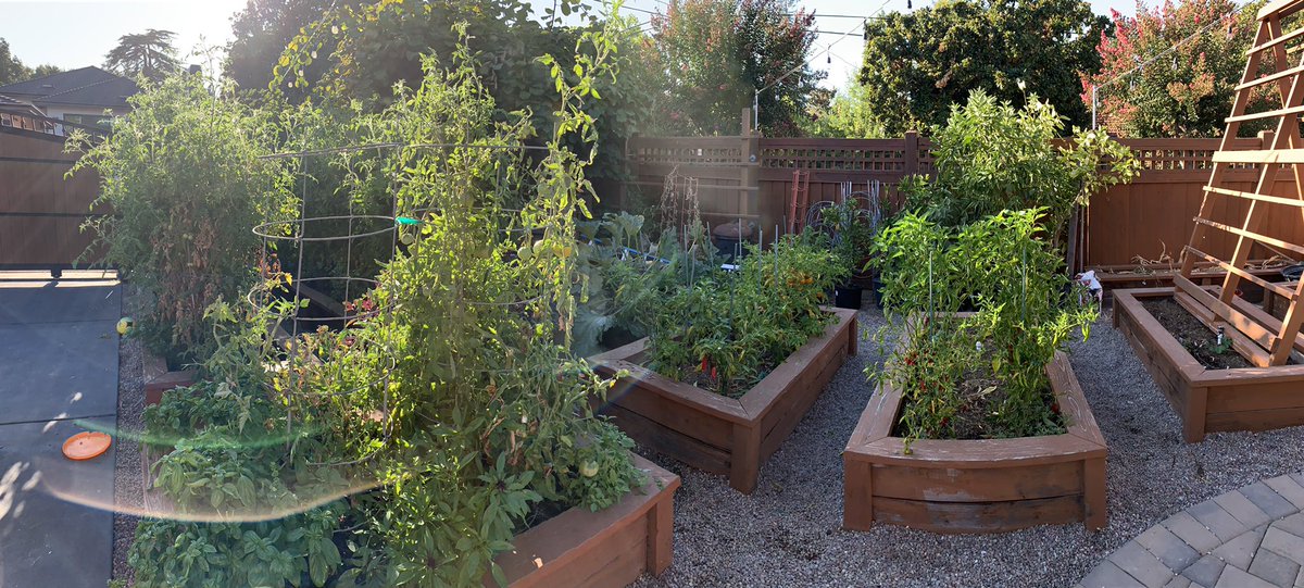 Adam Nash tweet media