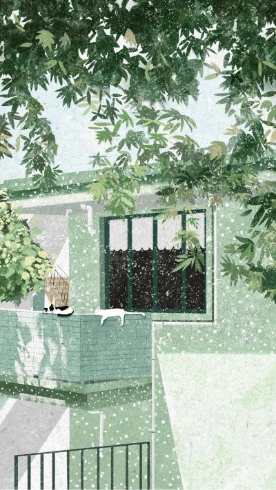 FangluTea tweet media