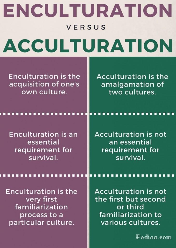 Acculturation Process