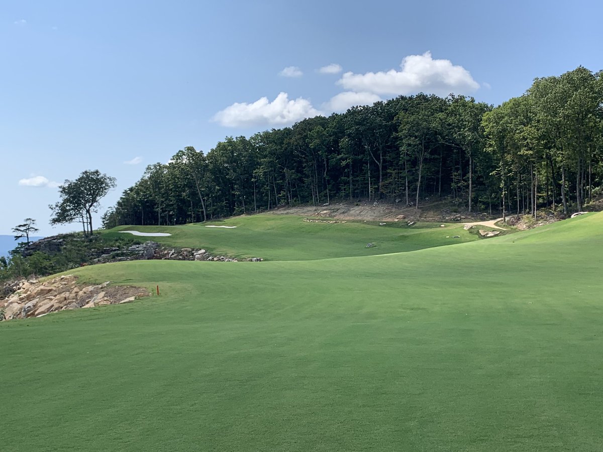 Shane Harwood tweet media