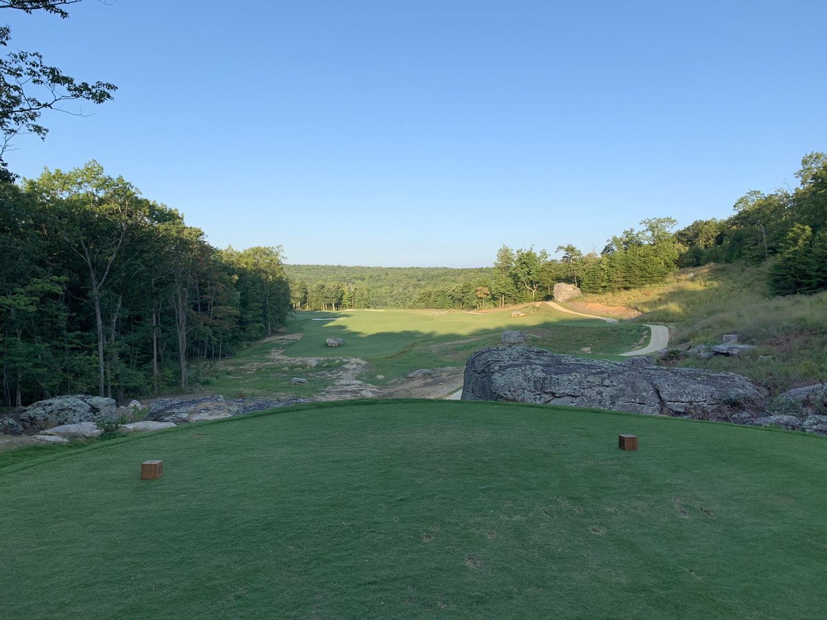 Shane Harwood tweet media