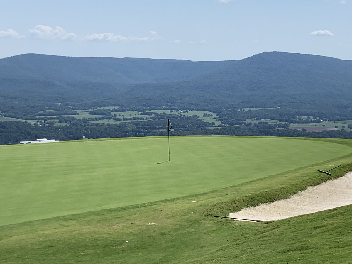 Shane Harwood tweet media