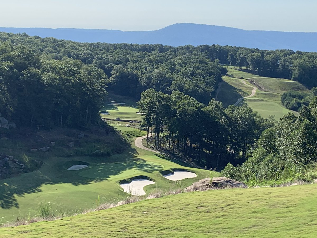 Shane Harwood tweet media