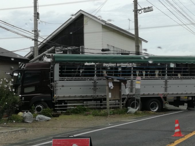 事故 秋田県秋田市下浜駅付近 国道7号で家畜運搬車の事故 渋滞 現地の画像まとめ まとめダネ 事故 秋田県秋田市下浜駅付近 国道7号で家畜運搬車の事故 渋滞 現地の画像まとめ まとめダネ