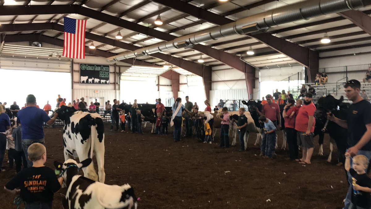 FultonCoAg's tweet photo. Great to see over 20 #peewee showmen at the @FultonCntyFair #dairy show this afternoon! Can’t believe how these kids handled their animals so well! #future4Hers #drinkmilk @adamideast @ohio4h @fultonbotf https://t.co/Wn5ImGohig