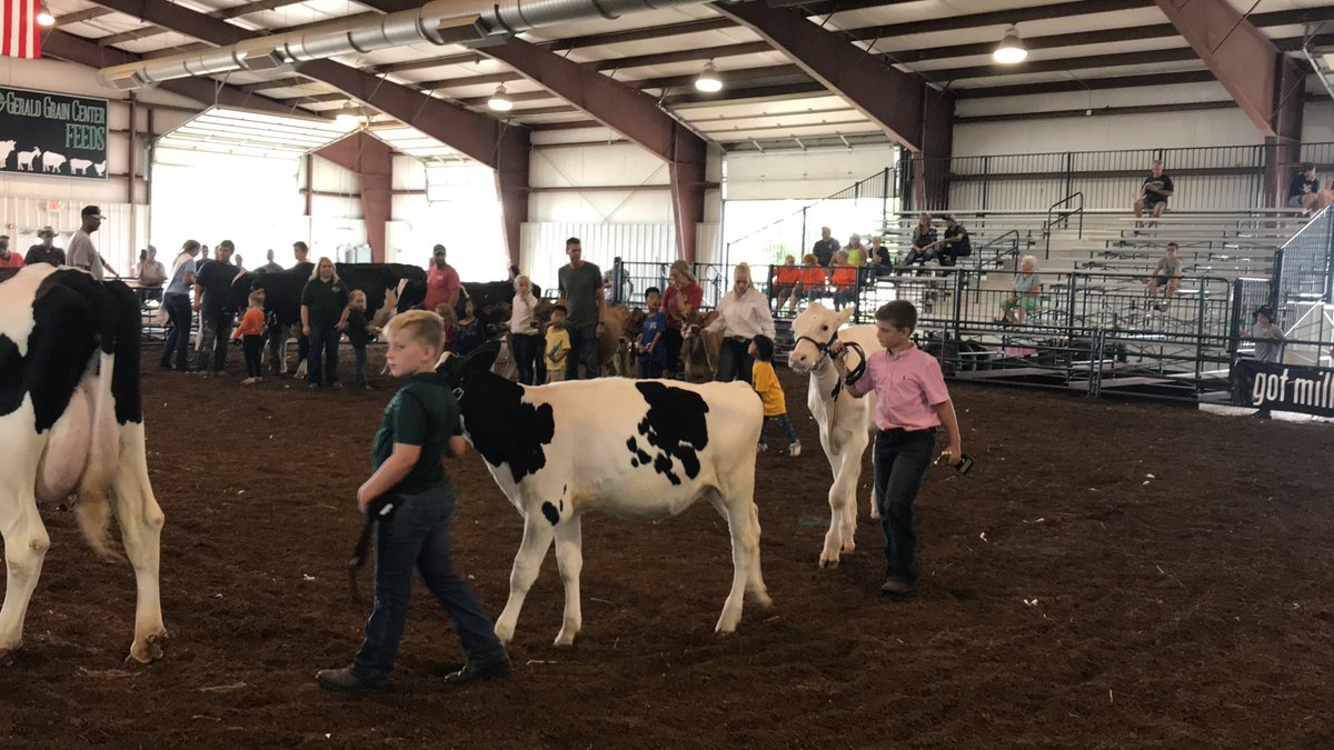 FultonCoAg's tweet photo. Great to see over 20 #peewee showmen at the @FultonCntyFair #dairy show this afternoon! Can’t believe how these kids handled their animals so well! #future4Hers #drinkmilk @adamideast @ohio4h @fultonbotf https://t.co/Wn5ImGohig