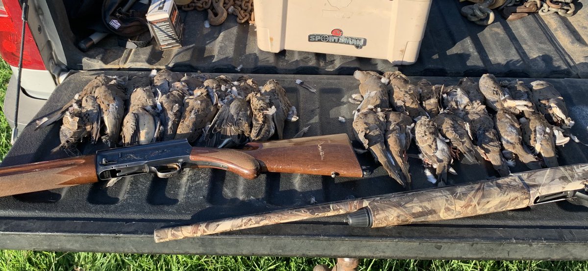 dp_seay's tweet photo. Had a great day today dove hunting with my son. We both got our limits and he even got a banded bird. https://t.co/eAeRhnPI0R