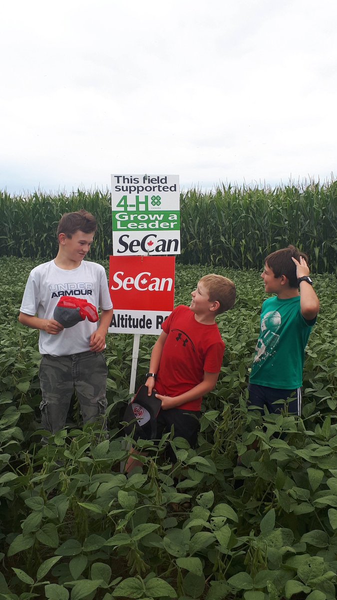 JDicksonChick's tweet photo. Take off hats to say the #4hOntario pledge (but put it back on after - quick!) #SeCanGrowaLeader #WestCarleton4hSheepClub https://t.co/xu0UpC2L08