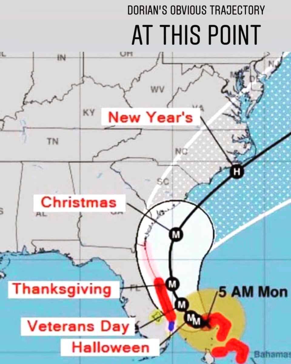 PalmTreeDogs's tweet image. #HurricaneDorian #TurtlePace