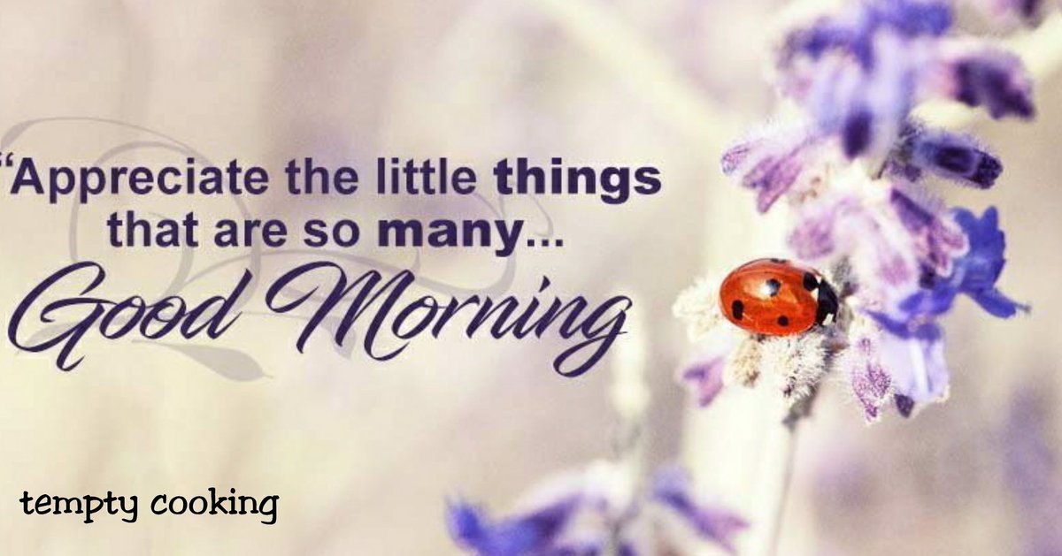 temptycooking's tweet image. When you feel that the whole world is standing against you, turn around and take an ego, discover the whole world behind you, hello and have a good day.
#mornings #morning #goodmorning #love #sunrise #breakfast #morningmotivation #like #coffee #work #happy #photography #beautiful