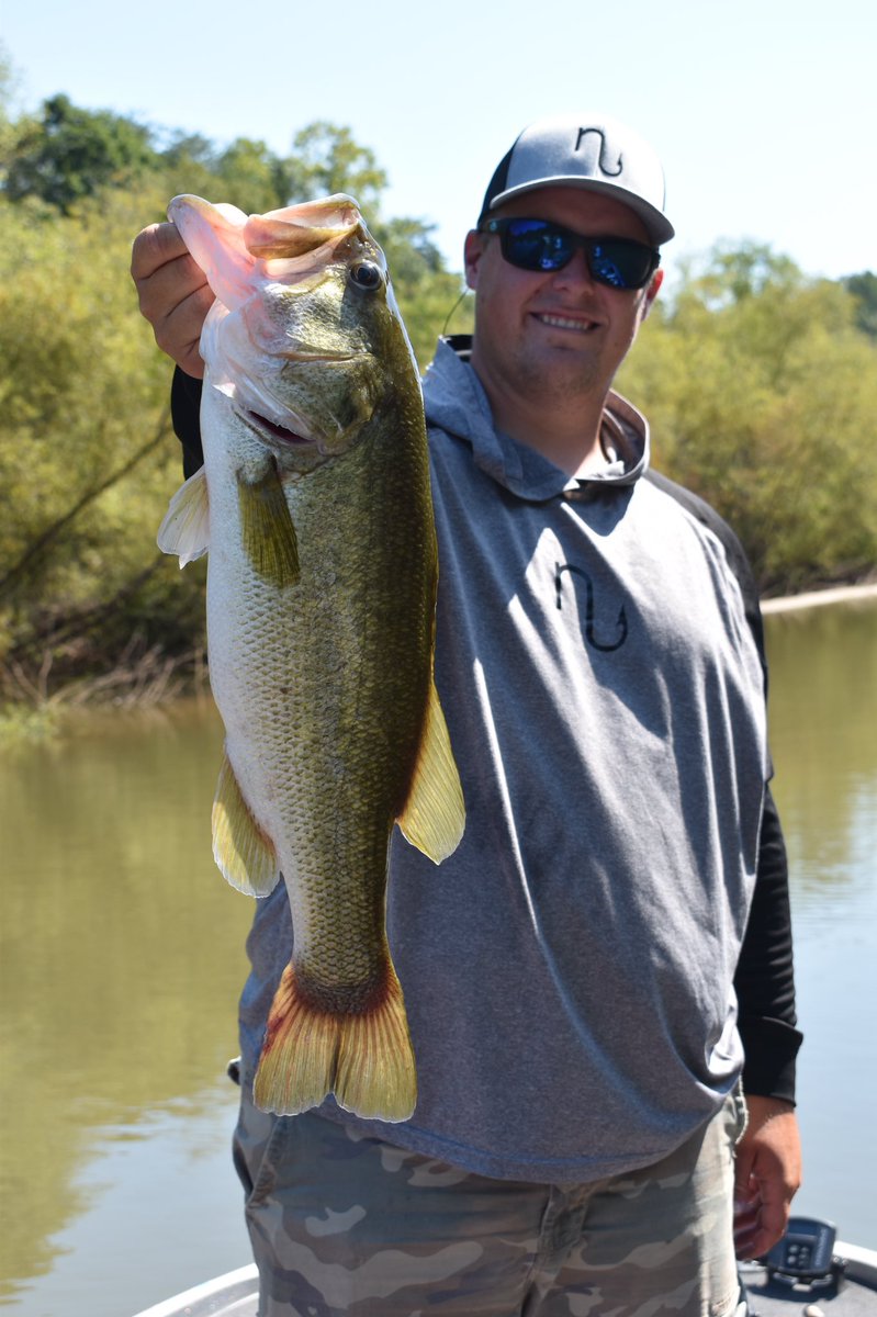 jake_whitaker_'s tweet photo. Caught a Labor Day hammer today! Hard to beat a jig bite this time of year. Thumped that True South jig! Enjoyed spending time with @h_laughter on the water today. @nuthreadz @blueottershades @ALXRods #bassfishing #basselite #labordayweekend #fishing #jigbite #alxrods @bassmaster https://t.co/bUogjMuBFK