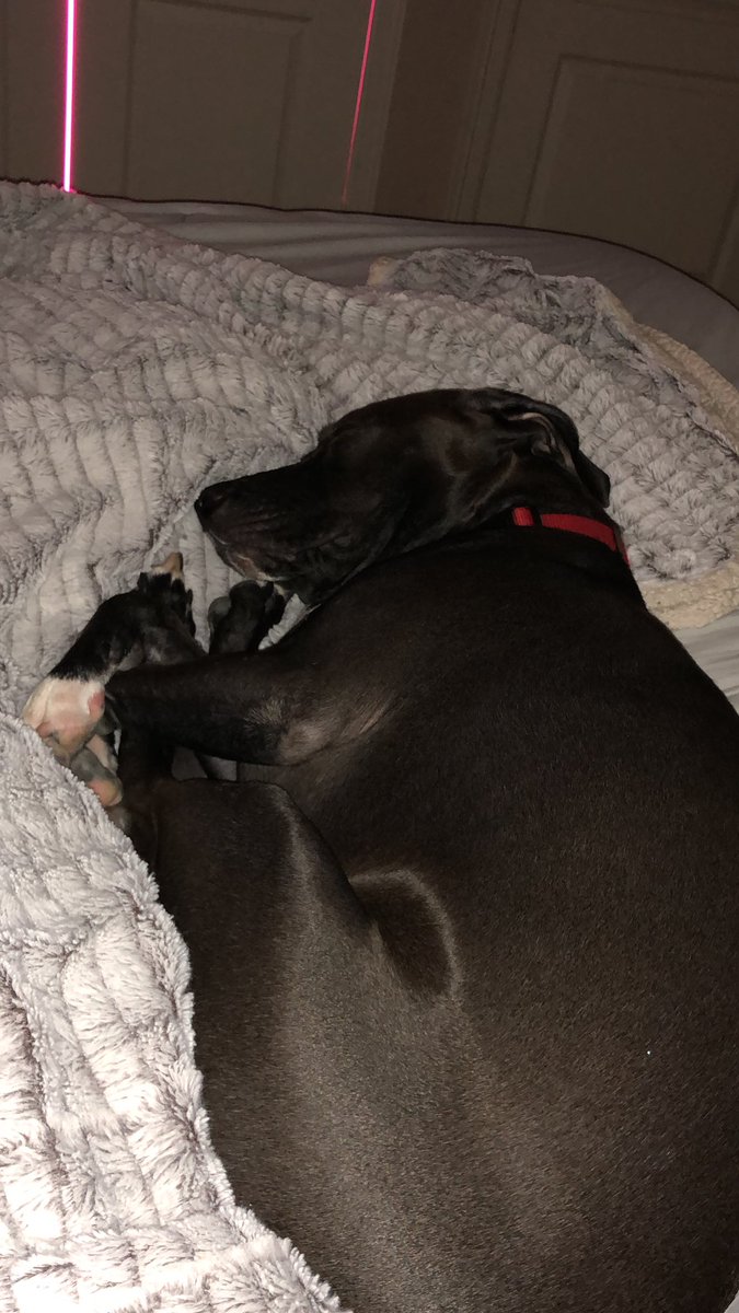 Andres Garcia tweet media