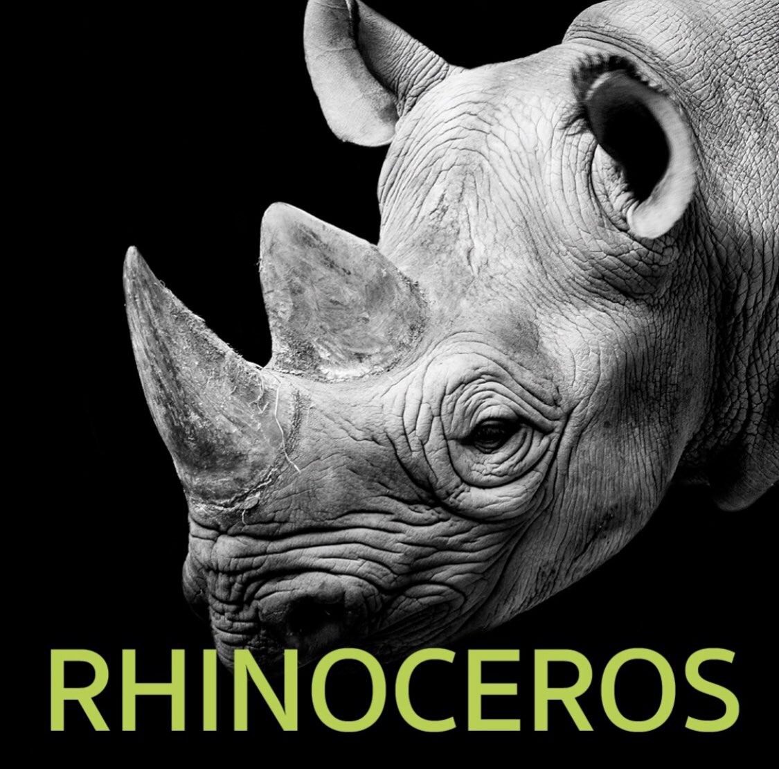 RosalindProds's tweet photo. Beginning this week, you can catch our EP @AbigailRSolomon performing 2 fantastic plays in rep at @WHATorg 1 is the classic absurdist play, #Rhinoceros , directed by our dear friend #DaisyWalker Get your tix to both shows at https://t.co/NE7fZ4JA5J #capecod 🌊#wellfleet #ionesco https://t.co/8Txy1aDpyE