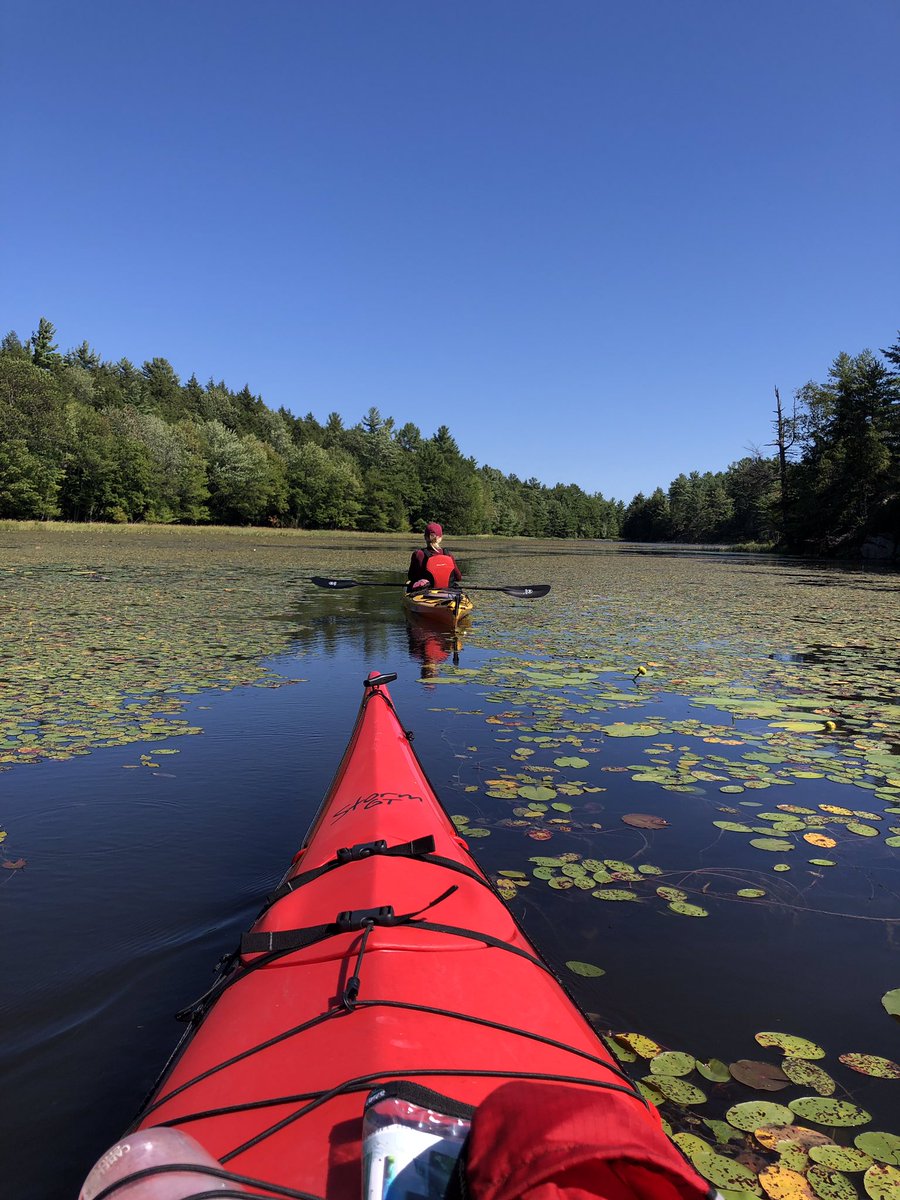 Lynn Norris tweet media