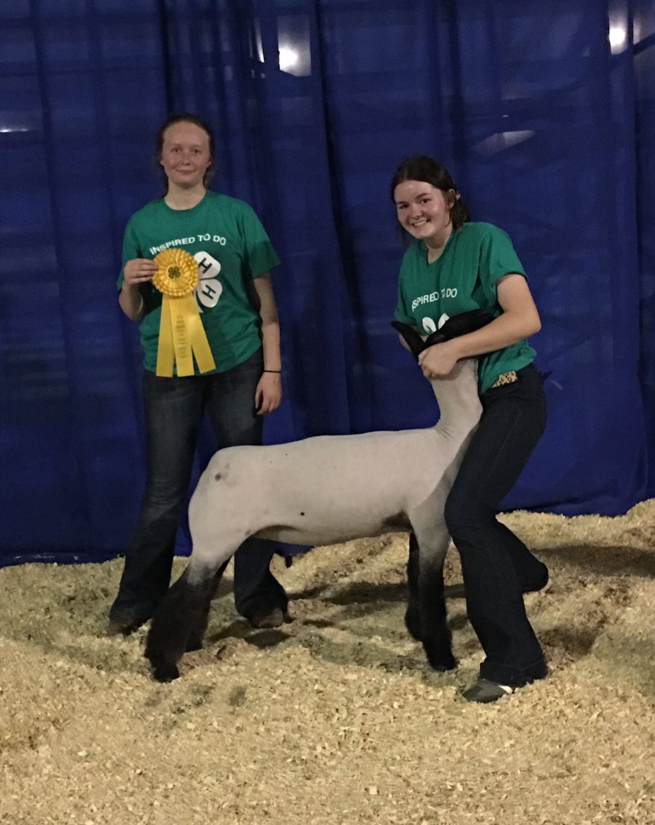 Congrats to Brinn Begalka! 5th Overall Market Lamb at the South Dakota State Fair. Sired by White Chocolate. We plan to build our future around this unique female!