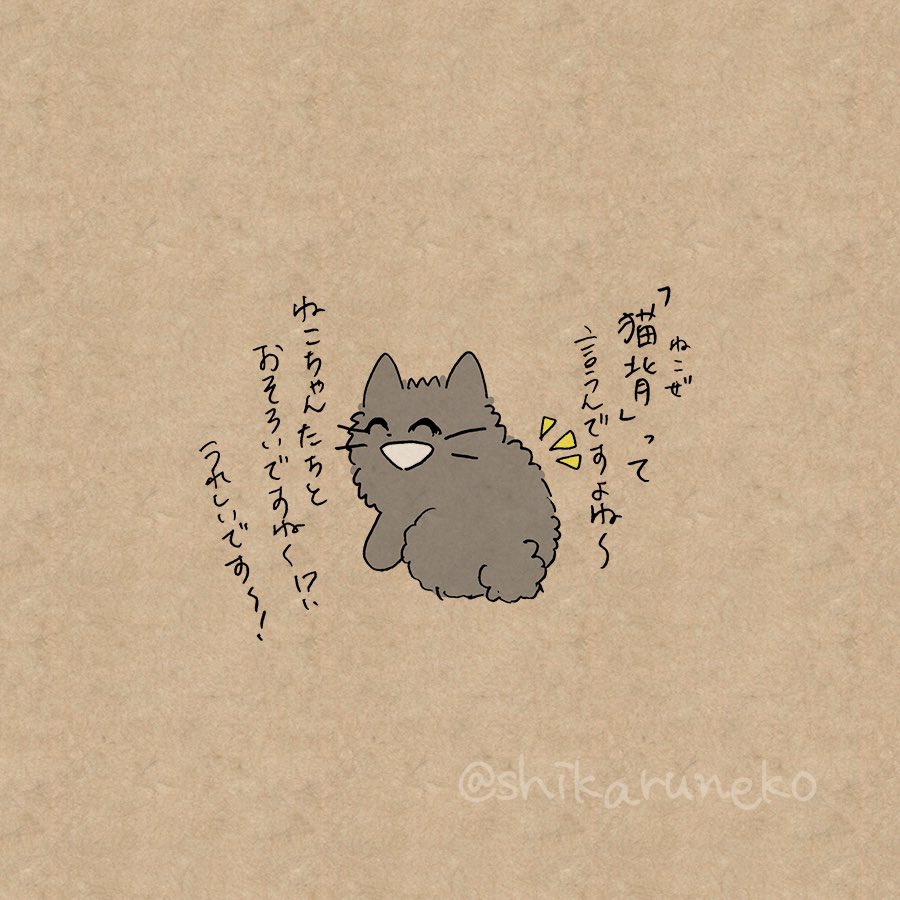 ついつい猫背になってしまう人と、あまやかすねこと、しかるねこ 