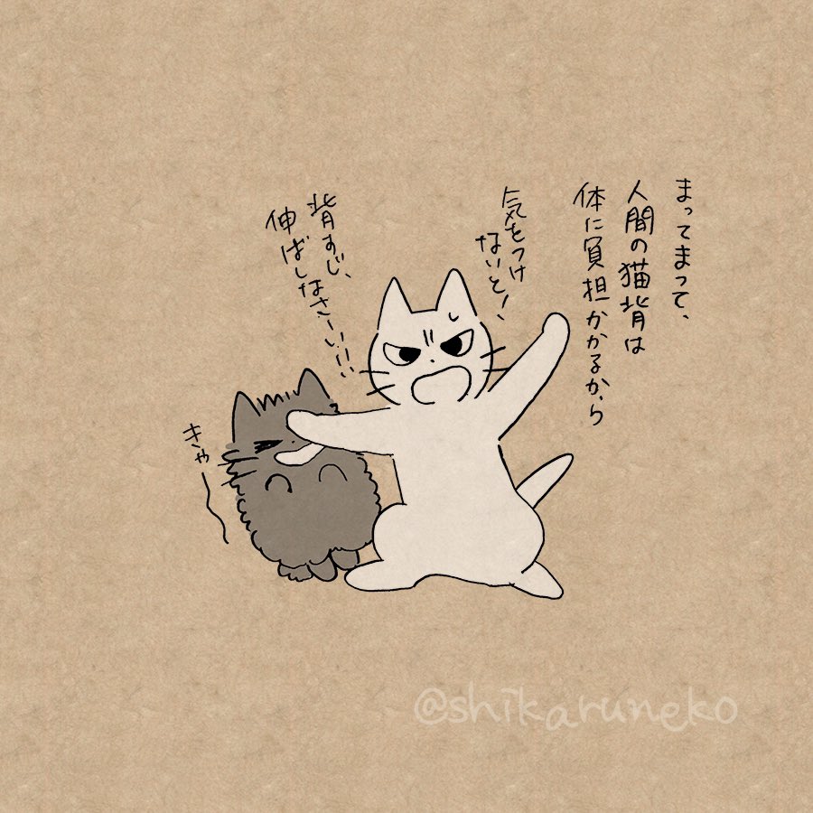 ついつい猫背になってしまう人と、あまやかすねこと、しかるねこ 