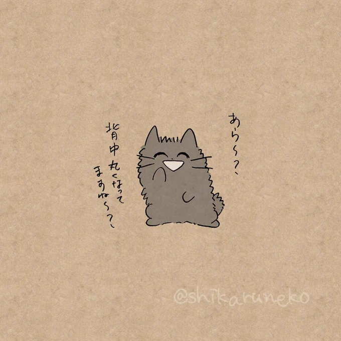ついつい猫背になってしまう人と、あまやかすねこと、しかるねこ 