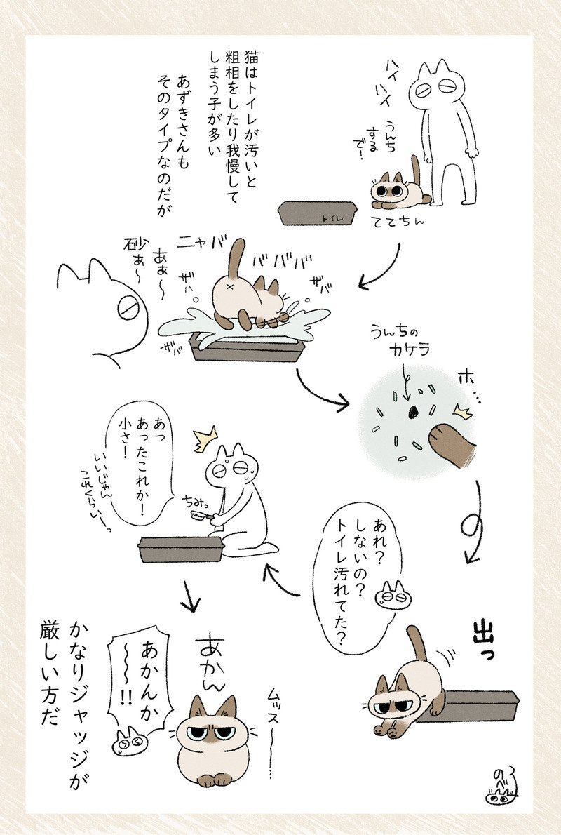 きびしい～～～～～！ #ねこ日記 