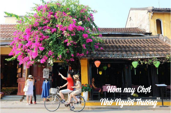 RestaurantMoka's tweet photo. Peaceful lesser bougainvillea in Hoi An
#restaurant #traveling 
Follow us at: https://t.co/1BYdsj3XOy https://t.co/HcmB0T3H8X