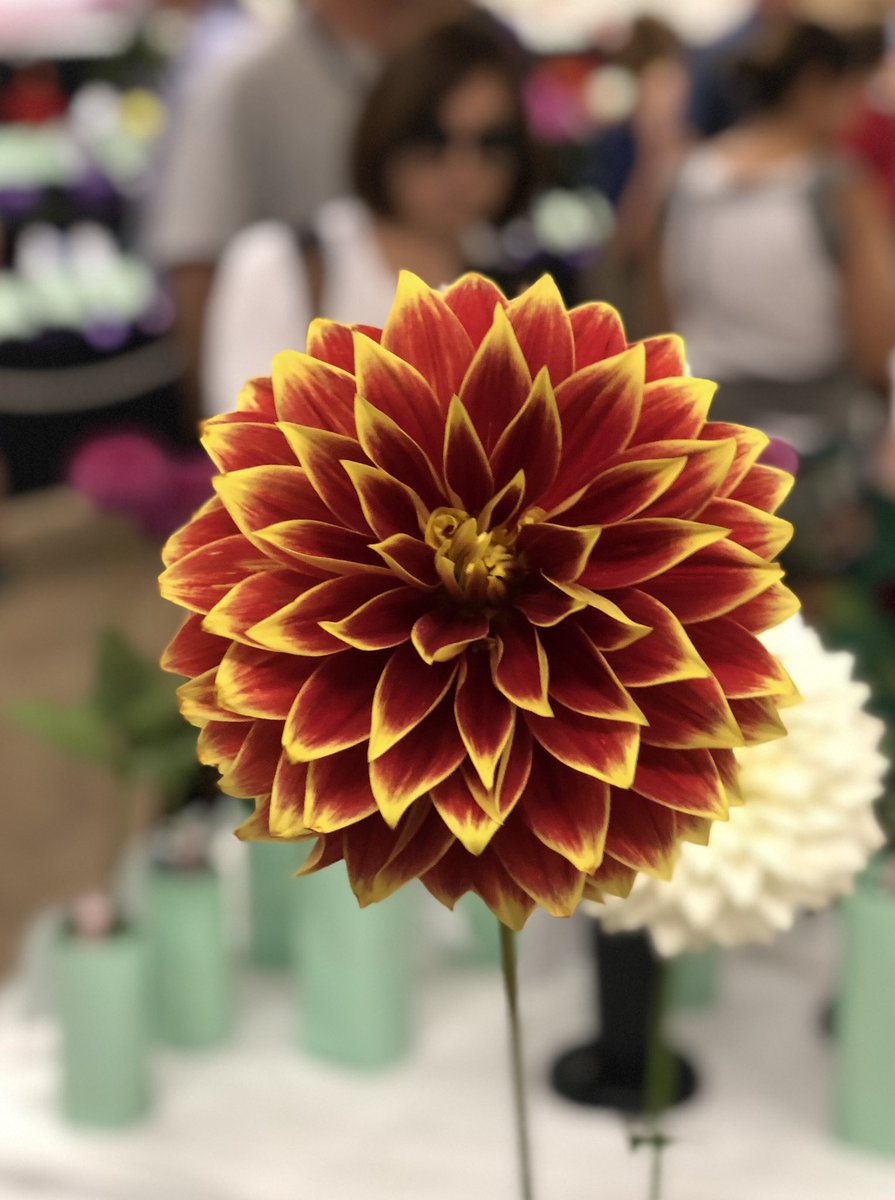 the_lan_man's tweet photo. A gorgeous day @mnstatefair with @darspleen https://t.co/yBFsjvwuhQ