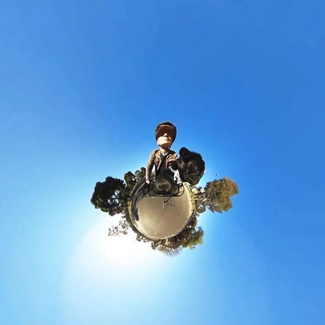 Another #LittlePlanet #BikeRide with a #BlackPugPuppy to #westgateparkmelbourne .
.
#GeorginaLivesLarge in #PortMelbourne
.
Shot with a #RicohThetaS
.
#TinyWorld #blackpug #pugpuppy #blackpugsmatter #pugsofinstagram #pugstagram #pug #puglife #pugphotography #petphotography #petph